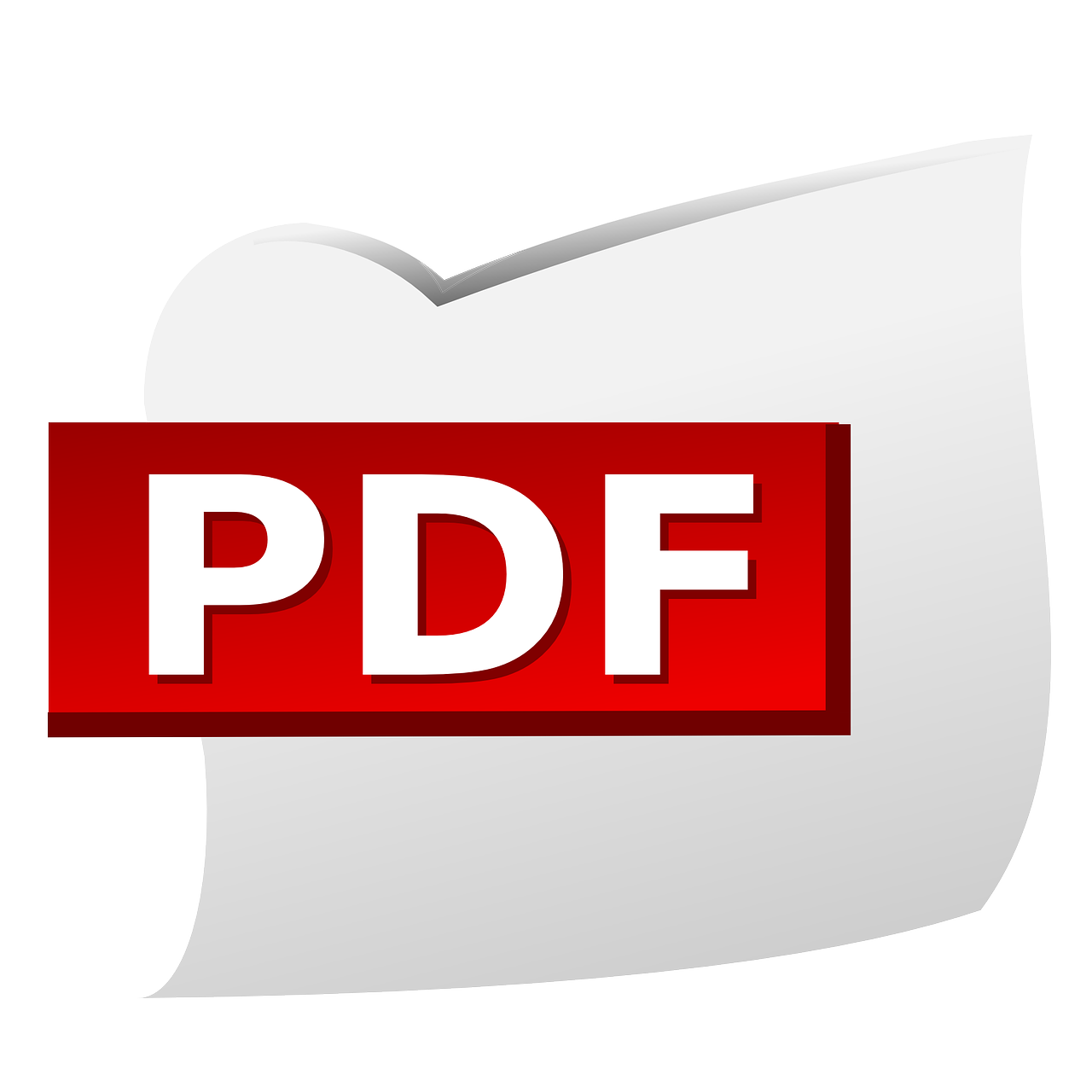 pdf file